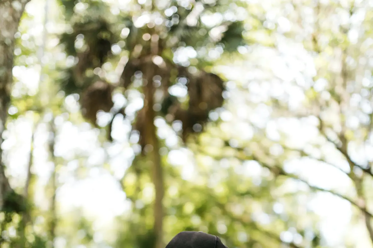 Raporty pełne pustych cyferek zamiast realnych zapytań