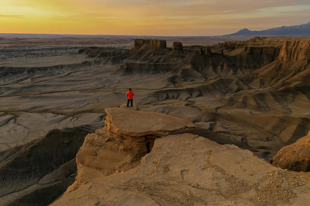 Case Study: 218 nowych zapytań w 40 dni bez zwiększania budżetu
